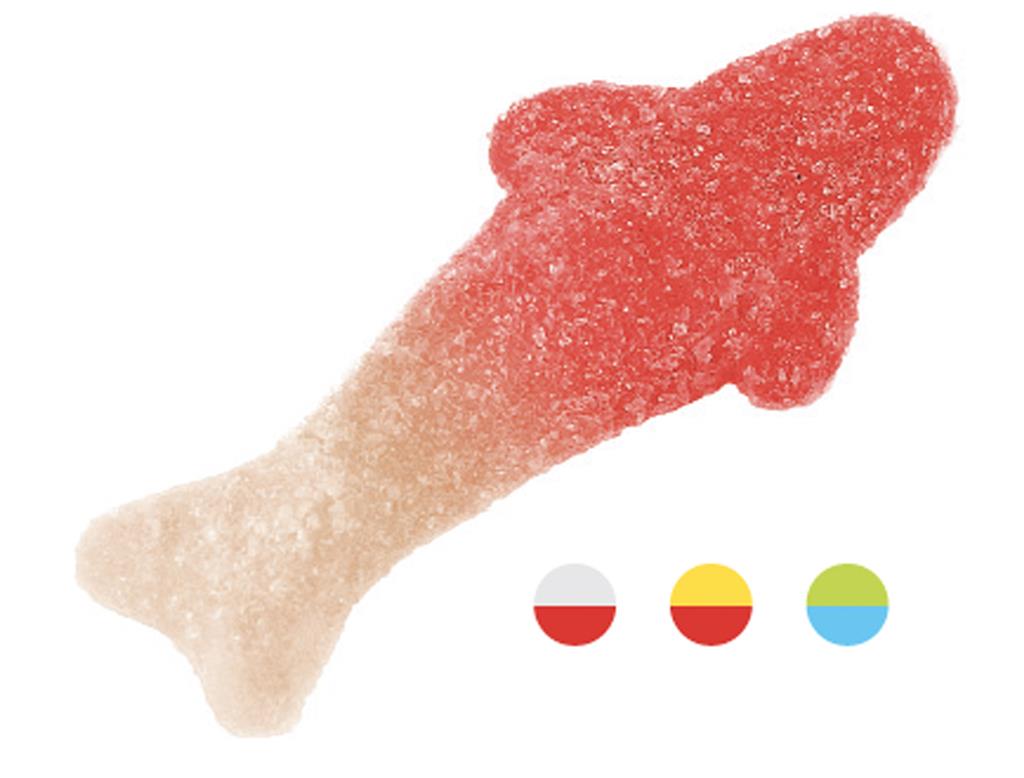Requins Sucrés - Ravazzi - 2kg