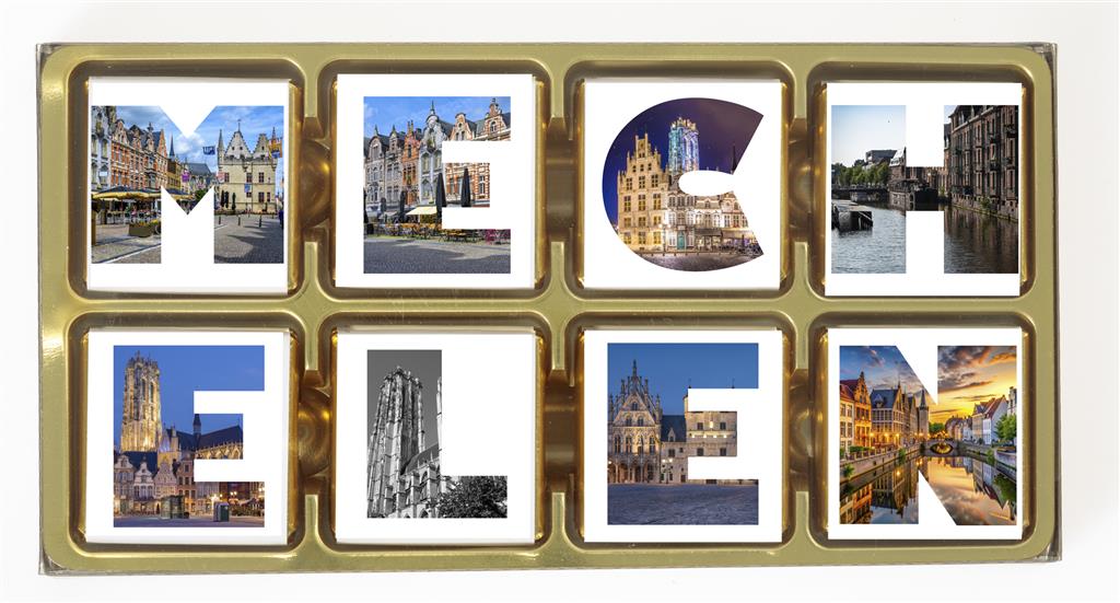 Chocolats Lait Malines (boîtes de 20) - Gifts of Belgium - 12 boîtes