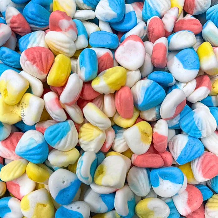 Mini Foam Palourde - Dulceplus