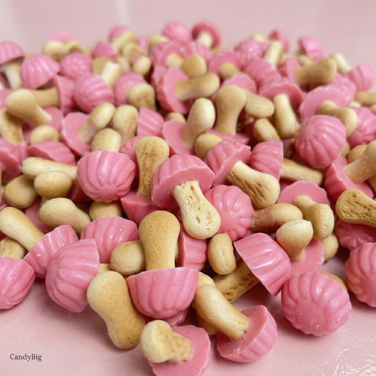 Champignons à la fraise | 1 Kilo