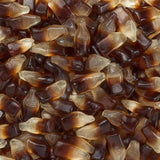 Bouteilles Cola sans sucre - Frisia - 2x1,5kg