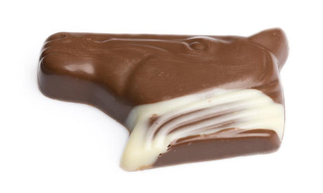 Têtes de Cheval Chocolat Lait Praliné Noisette - Vandenbulcke - 3kg