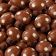 Champignon Lait Praline - Limar 2kg