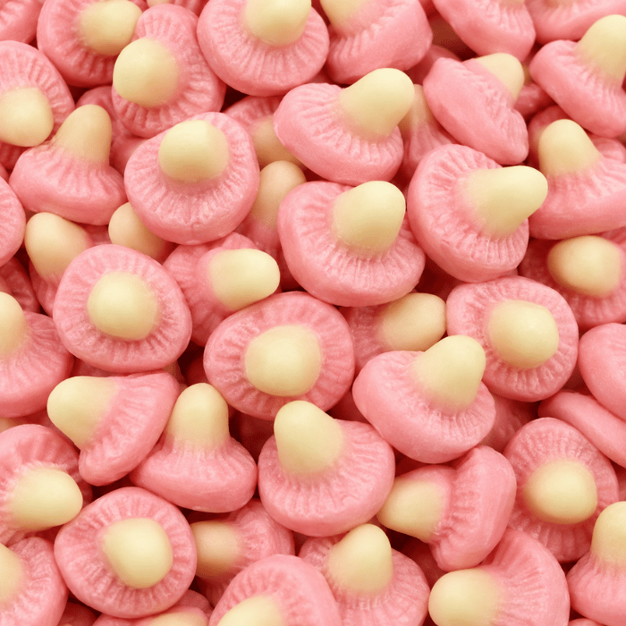 Champignons Gélifiés - Dulceplus - 1kg