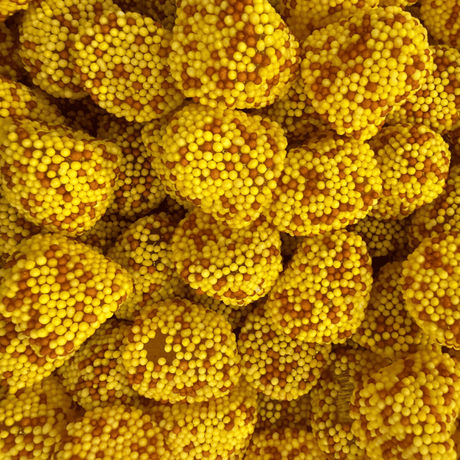 Mûre Perlée Citron Cola - D'sito 1kg