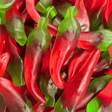 Piment lisse halal
