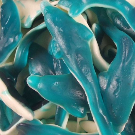 Image bonbon dauphin 