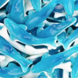 requin bleu