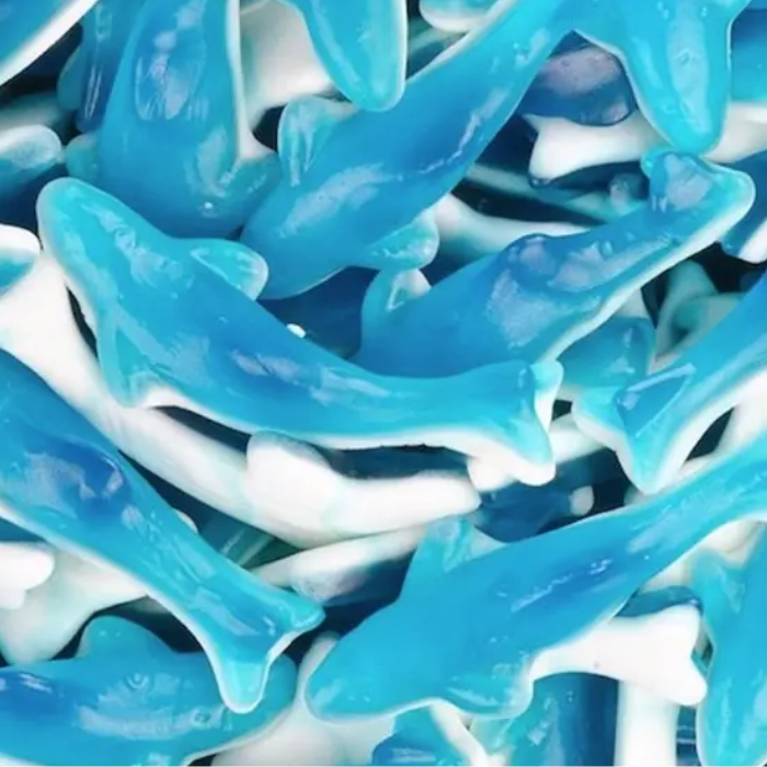 requin bleu