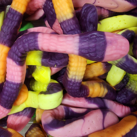 Image serpent géant 