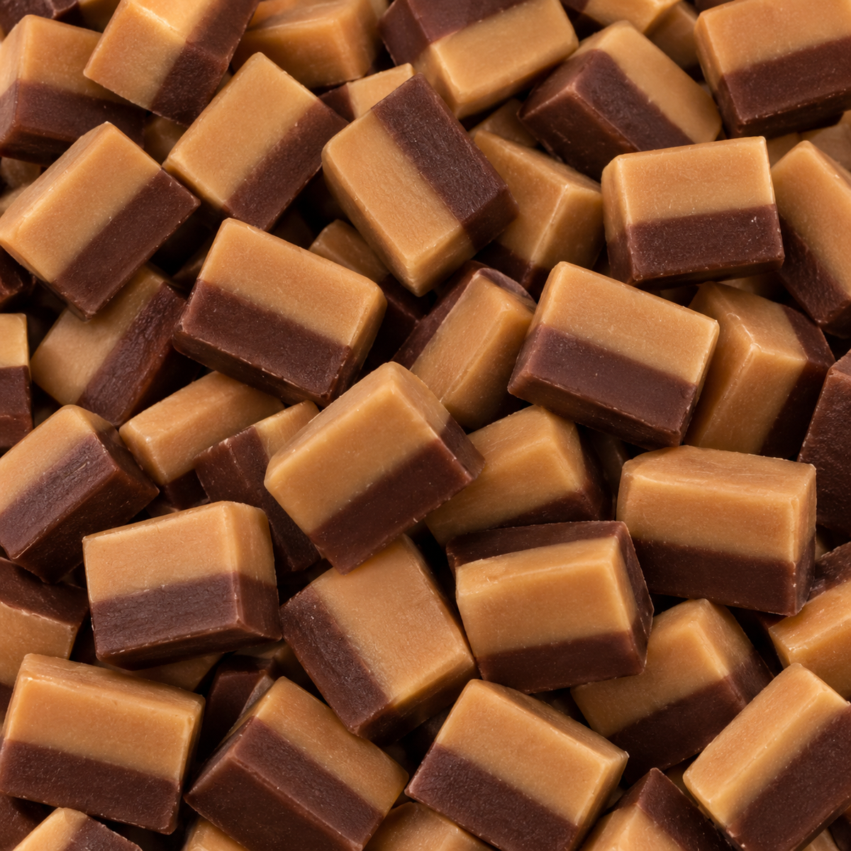 Fudge vanille / chocolat 