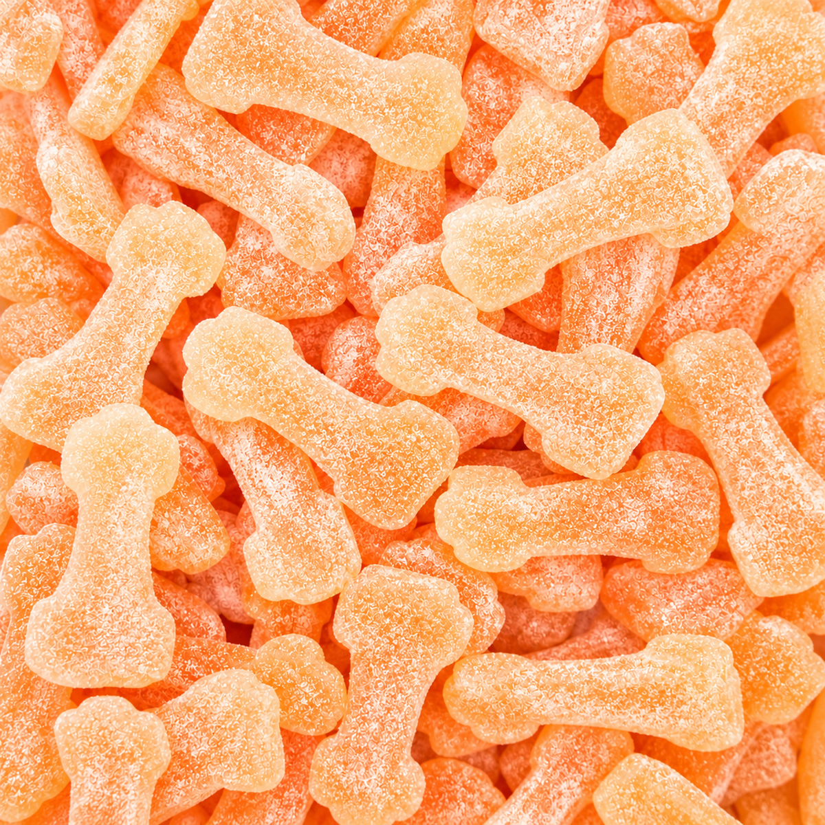 Ferrari Salées à la Pêche - Toms - 2,4kg