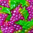Grappe de raisin XL - Damel - 3kg