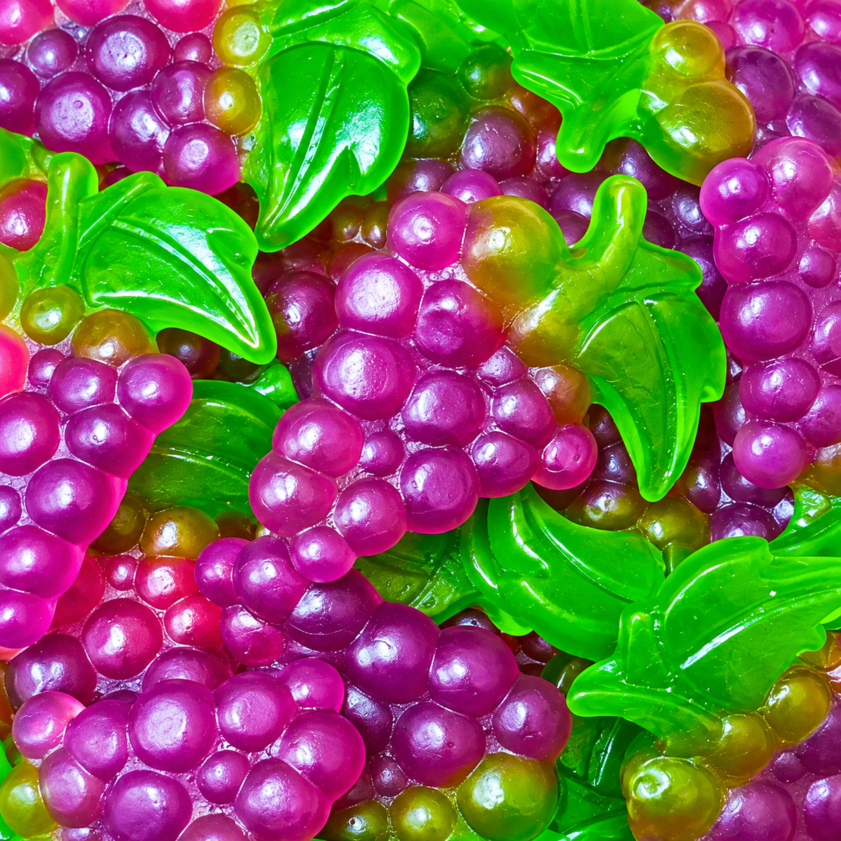 Grappe de raisin XL - Damel - 3kg