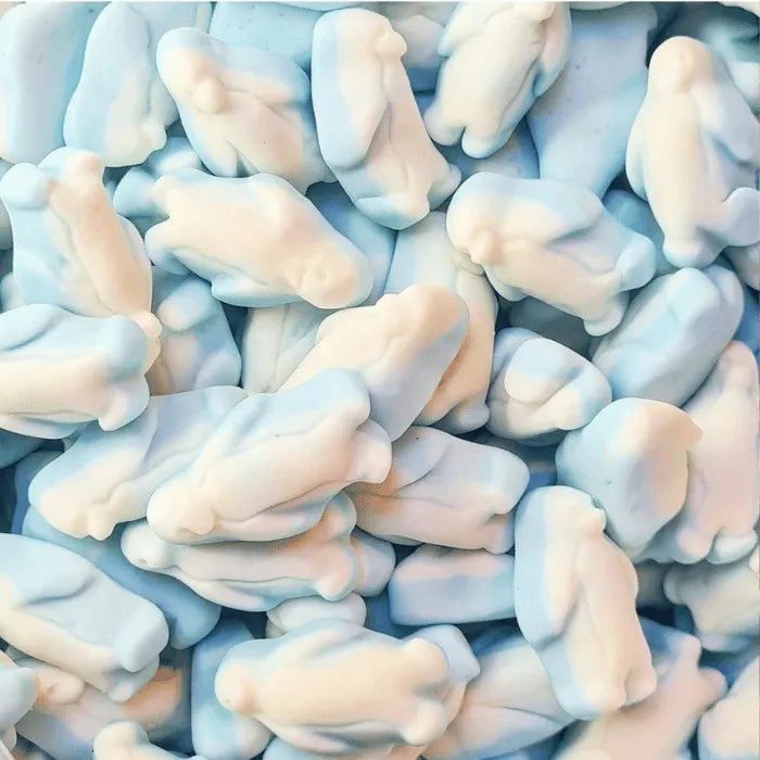 Foam Pingouins - Kingsway - 3kg