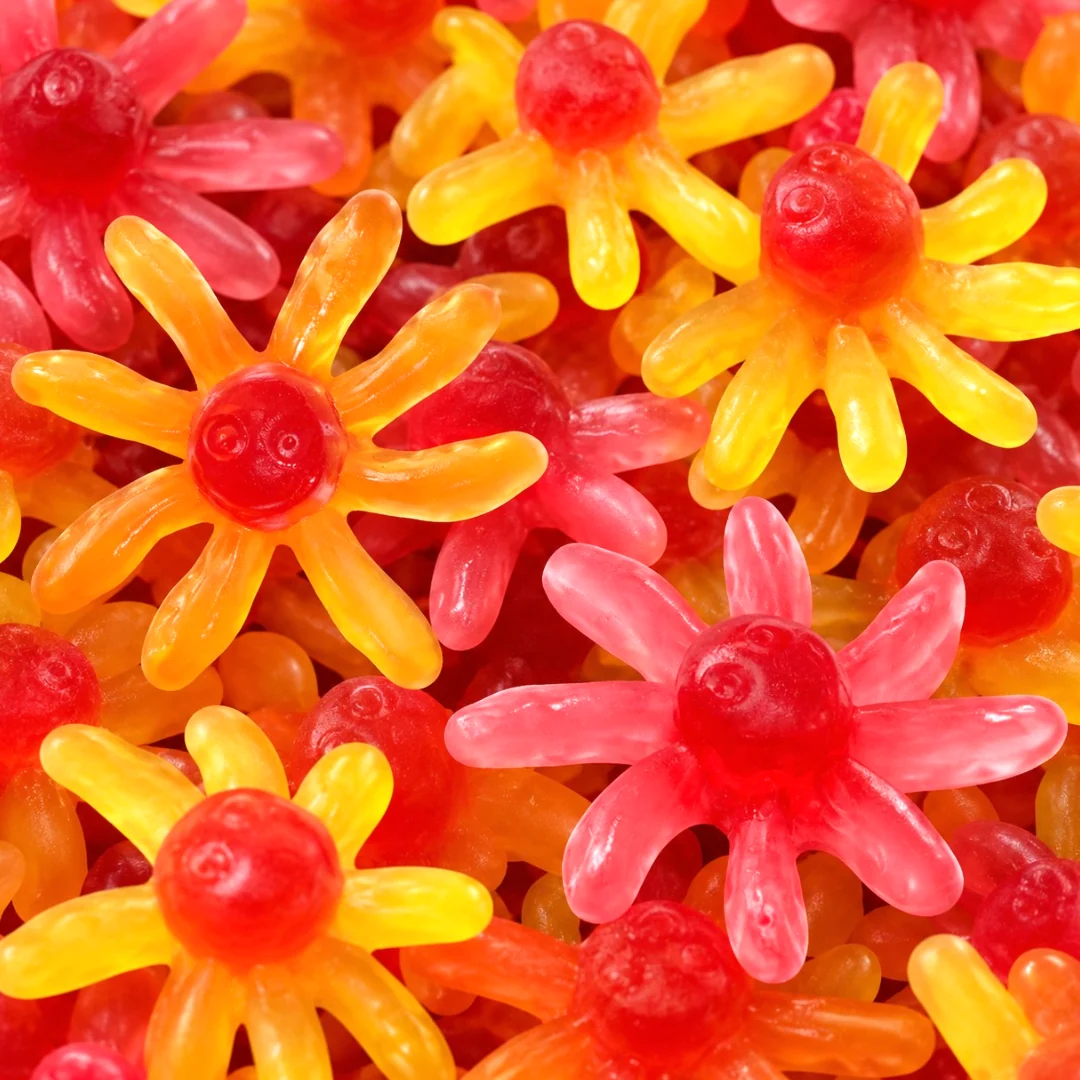 Octopus Spicy 1kg - Trolli