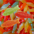 Poissons